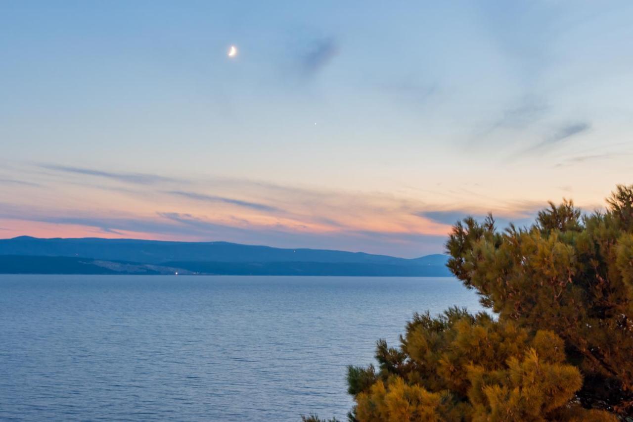 Apartments Villa Mandolina Marusici  Екстериор снимка